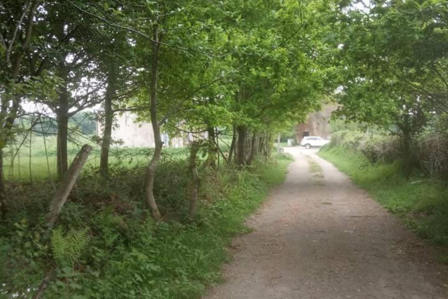 Mortain-Bocage - 2-Bed Wisteria Cottage - Sleeps 4 Notre-Dame-du-Touchet Extérieur photo